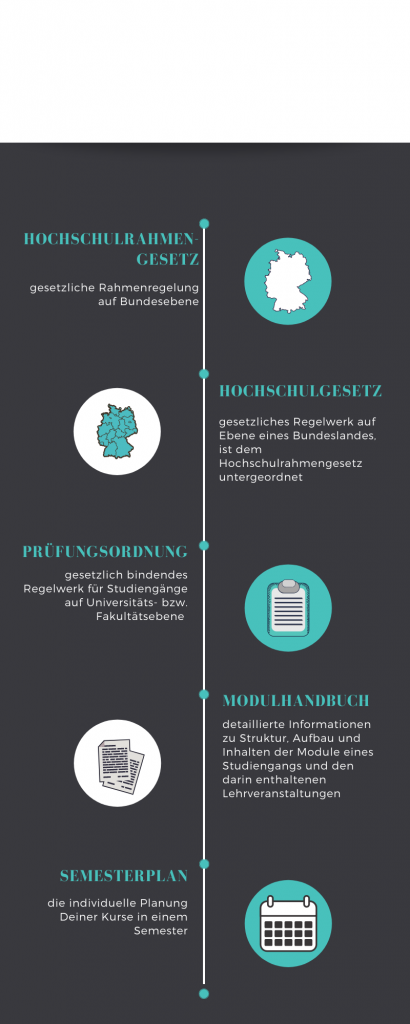 Infografik Prüfungsordnung